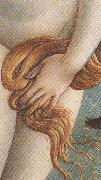 Sandro Botticelli The Birth of Venus (mk36) oil painting
